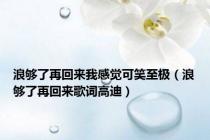 浪够了再回来我感觉可笑至极（浪够了再回来歌词高迪）