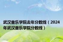 武汉音乐学院去年分数线（2024年武汉音乐学院分数线）