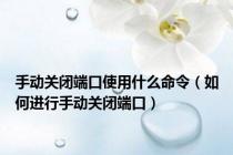 手动关闭端口使用什么命令（如何进行手动关闭端口）