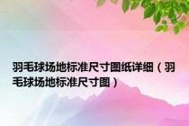 羽毛球场地标准尺寸图纸详细（羽毛球场地标准尺寸图）