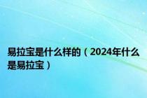 易拉宝是什么样的（2024年什么是易拉宝）