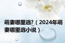 萌妻哪里逃?（2024年萌妻哪里逃小说）