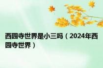 西园寺世界是小三吗（2024年西园寺世界）