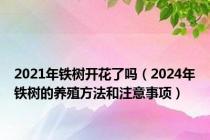 2021年铁树开花了吗（2024年铁树的养殖方法和注意事项）