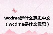 wcdma是什么意思中文（wcdma是什么意思）