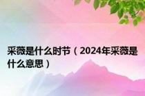 采薇是什么时节（2024年采薇是什么意思）