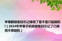 苹果解锁密码忘记停用了是不是只能刷机l（2024年苹果手机锁屏密码忘记了已停用不想刷机）