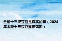 金陵十三钗豆蔻是真实的吗（2024年金陵十三钗豆蔻惨死图）