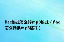 flac格式怎么转mp3格式（flac怎么转换mp3格式）