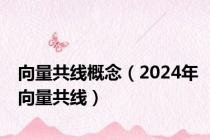 向量共线概念（2024年向量共线）