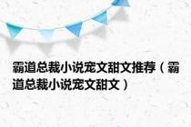 霸道总裁小说宠文甜文推荐（霸道总裁小说宠文甜文）