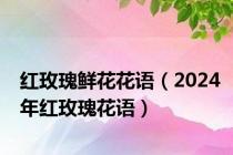 红玫瑰鲜花花语（2024年红玫瑰花语）