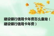 建设银行信用卡年费怎么查询（建设银行信用卡年费）