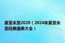 夏至未至2020（2024年夏至未至经典语录大全）