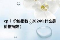 cpⅰ 价格指数（2024年什么是价格指数）