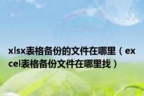 xlsx表格备份的文件在哪里（excel表格备份文件在哪里找）