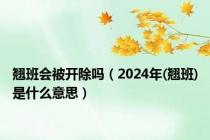 翘班会被开除吗（2024年(翘班)是什么意思）