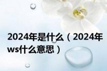 2024年是什么（2024年ws什么意思）