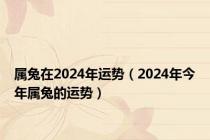 属兔在2024年运势（2024年今年属兔的运势）