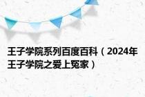 王子学院系列百度百科（2024年王子学院之爱上冤家）