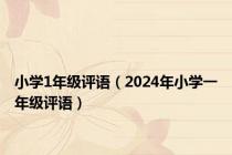 小学1年级评语（2024年小学一年级评语）