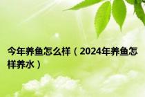 今年养鱼怎么样（2024年养鱼怎样养水）