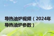 导热油炉视频（2024年导热油炉参数）