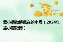 孟小蓓微博现在的小号（2024年孟小蓓微博）