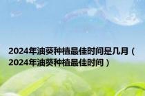 2024年油葵种植最佳时间是几月（2024年油葵种植最佳时间）