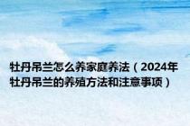 牡丹吊兰怎么养家庭养法（2024年牡丹吊兰的养殖方法和注意事项）