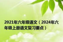 2021年六年级语文（2024年六年级上册语文复习要点）