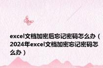 excel文档加密后忘记密码怎么办（2024年excel文档加密忘记密码怎么办）