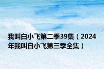 我叫白小飞第二季39集（2024年我叫白小飞第三季全集）