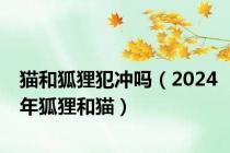 猫和狐狸犯冲吗（2024年狐狸和猫）