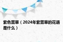 紫色萱草（2024年紫萱草的花语是什么）