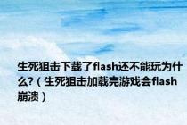 生死狙击下载了flash还不能玩为什么?（生死狙击加载完游戏会flash崩溃）