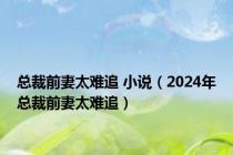 总裁前妻太难追 小说（2024年总裁前妻太难追）