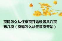 页码怎么从任意页开始设置共几页 第几页（页码怎么从任意页开始）