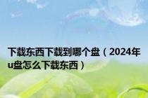 下载东西下载到哪个盘（2024年u盘怎么下载东西）