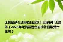 无情最是台城柳依旧烟笼十里提是什么意思（2024年无情最是台城柳依旧烟笼十里堤）