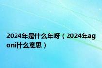 2024年是什么年呀（2024年agoni什么意思）