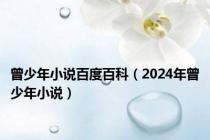 曾少年小说百度百科（2024年曾少年小说）