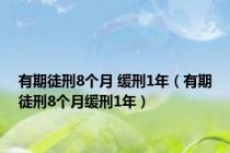 有期徒刑8个月 缓刑1年（有期徒刑8个月缓刑1年）