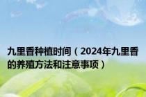 九里香种植时间（2024年九里香的养殖方法和注意事项）