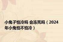 小兔子怕冷吗 会冻死吗（2024年小兔怕不怕冷）