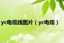 yc电缆线图片（yc电缆）