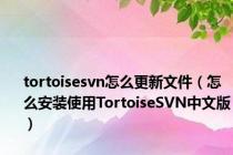 tortoisesvn怎么更新文件（怎么安装使用TortoiseSVN中文版）