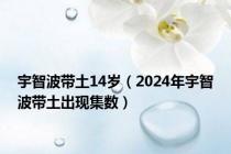 宇智波带土14岁（2024年宇智波带土出现集数）