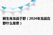 解生肖龙战于野（2024年龙战在野什么意思）