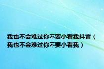 我也不会难过你不要小看我抖音（我也不会难过你不要小看我）